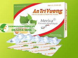 Thuốc điều trị trĩ: An Trĩ Vương