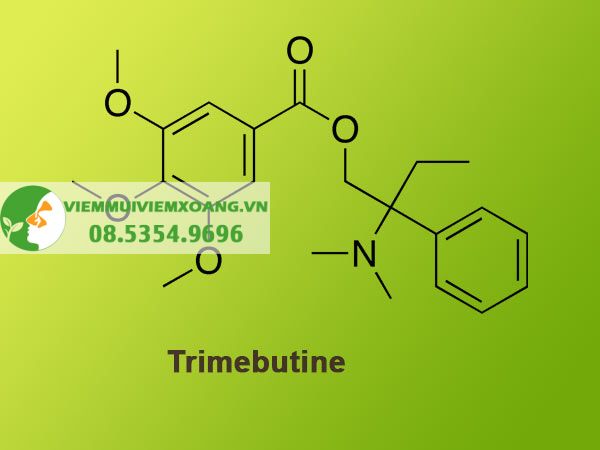 Thành phần Trimebutine của Protolog