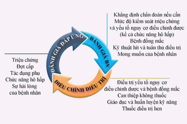 Chu trình điều trị hen phế quản