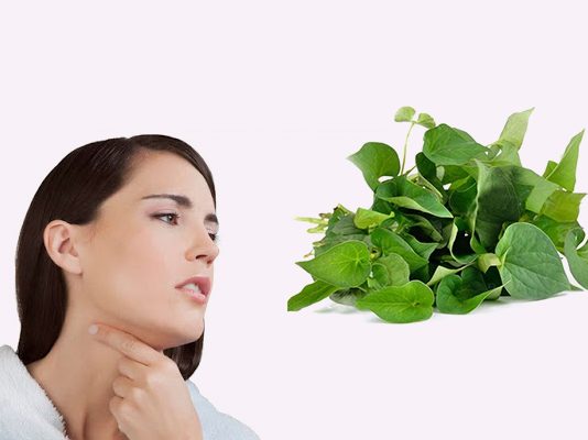 Rau diếp cá chữa viêm họng